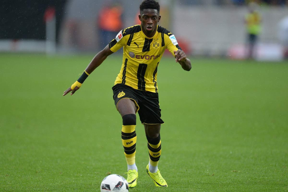 职业体系 职业体系